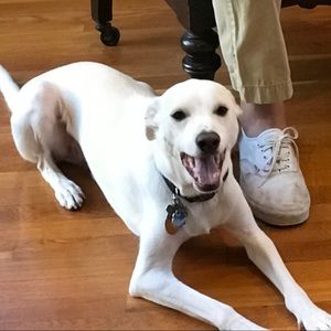 Meet your Posher, John